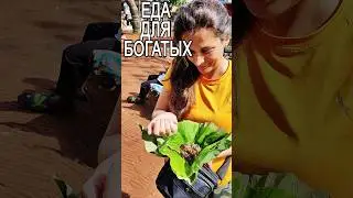 Муж сказал это еда для богатых #foreignwife #travel #наташаиндия #paramarturnatasha #Еда