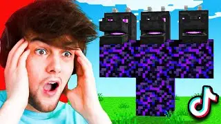 10 MINECRAFT TIKTOK HACKS that ACTUALLY WORK!