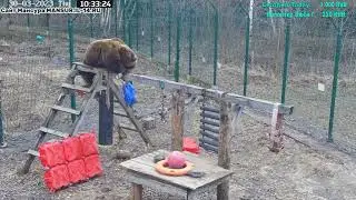 30.03.2023      