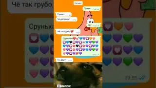 собака срунькает по захватывающию музыку