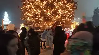 Как в Кривом Роге Новый Год праздновали в парке Героев