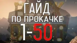 Гайд по прокачке с 1-50 в Black Desert