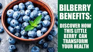 5 Mind Blowing Health Benefits of Bilberry #bilberry