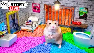 Epic Escape of Hamster Robber from the Prison Maze 🐹 Homura Ham
