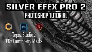 BW CONVERSION: PHOTOSHOP, SILVER EFEX PRO 2, TOPAZ STUDIO 2 and TK7 Luminosity Masks...