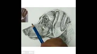 Drawing a Dog 