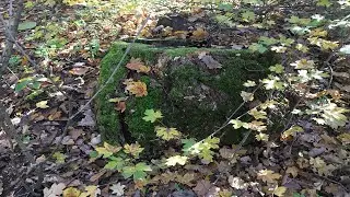 ОСЕННИЙ ЛЕС!  МОЛДОВА.