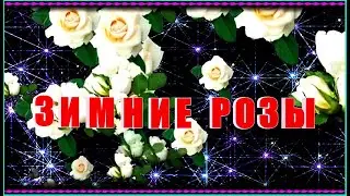 Ю.Шатунова 