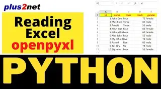 Openpyxl library to read Excel file from cell or rows columns by using max min rows and columns