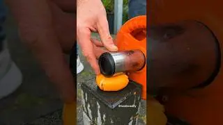 Guess how many kilos an orange 🍊 can hold!