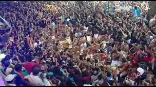 pariyanampatta pooram    🔥🔥🔥