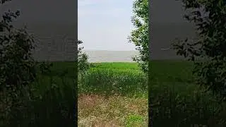 рад ли ты жизни?)