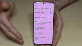 Xiaomi 12X: How to enable and disable the Developer Options?