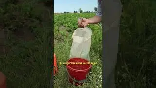 Нет отбоя от урожая! Секрет в трех простых действиях