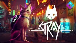 STRAY - Я КОТИК! ТЫ КОТИК! (2K) #1