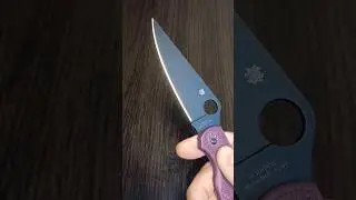 Spyderco Police 4 Lightweight Micro-Melt PD#1. C07BGBK4.