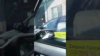 Дорога домой