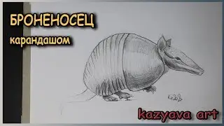 Как нарисовать БРОНЕНОСЦА карандашом. Мастер-класс. Поэтапное рисование животных