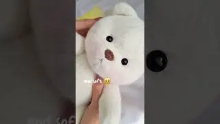 Osito de 