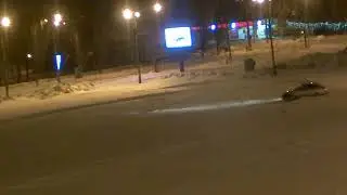 В Тольятти украли новогоднюю лошадь