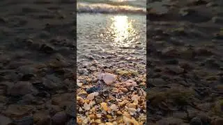 Доброе черноморское утро