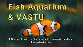 Keep a fish aquarium in your home. #Vastu #vastutips #SharkTank