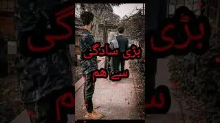 Romantic Status | Amazing Status | Urdu Quotes | Islamic Whatsapp Status | Love Status | Aqwal Ali