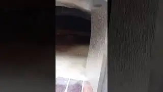 #печь
