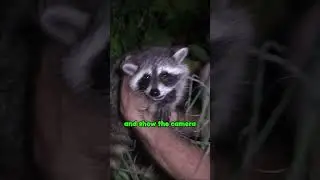 Unreleased Footage from 8 Years Ago