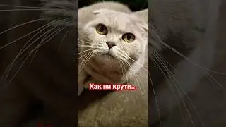 как ни крути 🤣