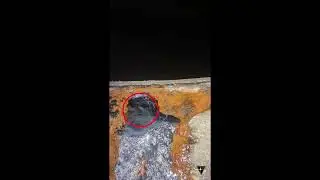 Загадочная биота в Леоновском ручье
