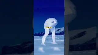 Ningen : Monster yang Mendiami Antartika ! 