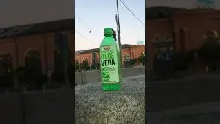 Алоэ Вера