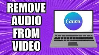 How To Remove Audio From Video In Canva