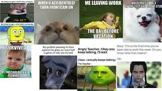 The best memes on earth #memes
