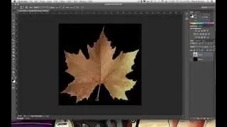 Blender Tutorial: Alpha Mapping 2.68