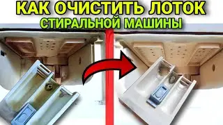 Как почистить стиральную машину от плесени, налета и ржавчины копеечным средством