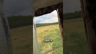 Открытие охоты на кабана #тепловизор #nighthunter #hunting #тепловизоры #охота #ночнаяохота #купить