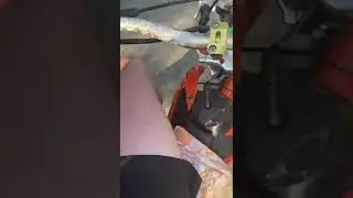 Питбайк Avantis Basic 125сс 17/14
