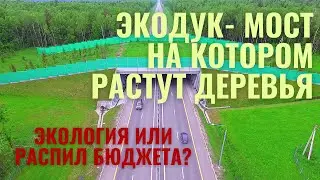 Экодук. Экология. Вид с квадрокоптера.