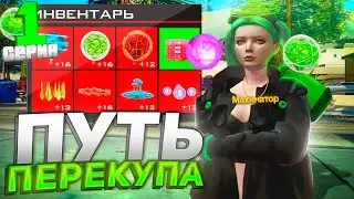 ПУТЬ ПЕРЕКУПА на АРИЗОНА РП #1 ПЕРЕПРОДАЖИ НА 10ККК на ARIZONA RP!