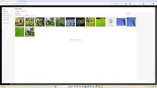 How To Create A Blog Post In WordPress