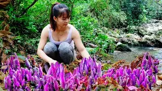 Harvesting Wild Mushroom Goes To Market Sell, Live With Nature | New Free Bushcraft