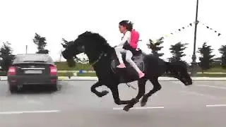 hot sexy women riding horse looking so great in sunny day shorts 1080p