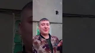 Котейка и Как у него Дела #помощь_животным #котик