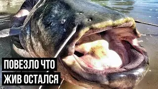 ЖОР РЕЧНЫХ ВЕЛИКАНОВ | ТОП 5 ЛУЧШИХ МОМЕНТОВ НА РЫБАЛКЕ