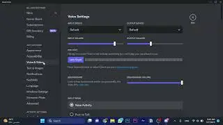 How To Use OBS As Camera Source On Discord (2023)