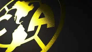 117 Golden logo Reveal