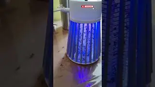Best Ultra Violet Mosquito Killer Lamp #lifereviewed #shorts #ytshorts #india #viral #trending