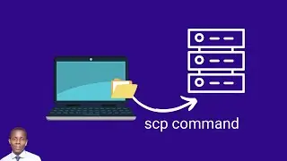 How to transfer a file to a remote server using SCP and a bash script